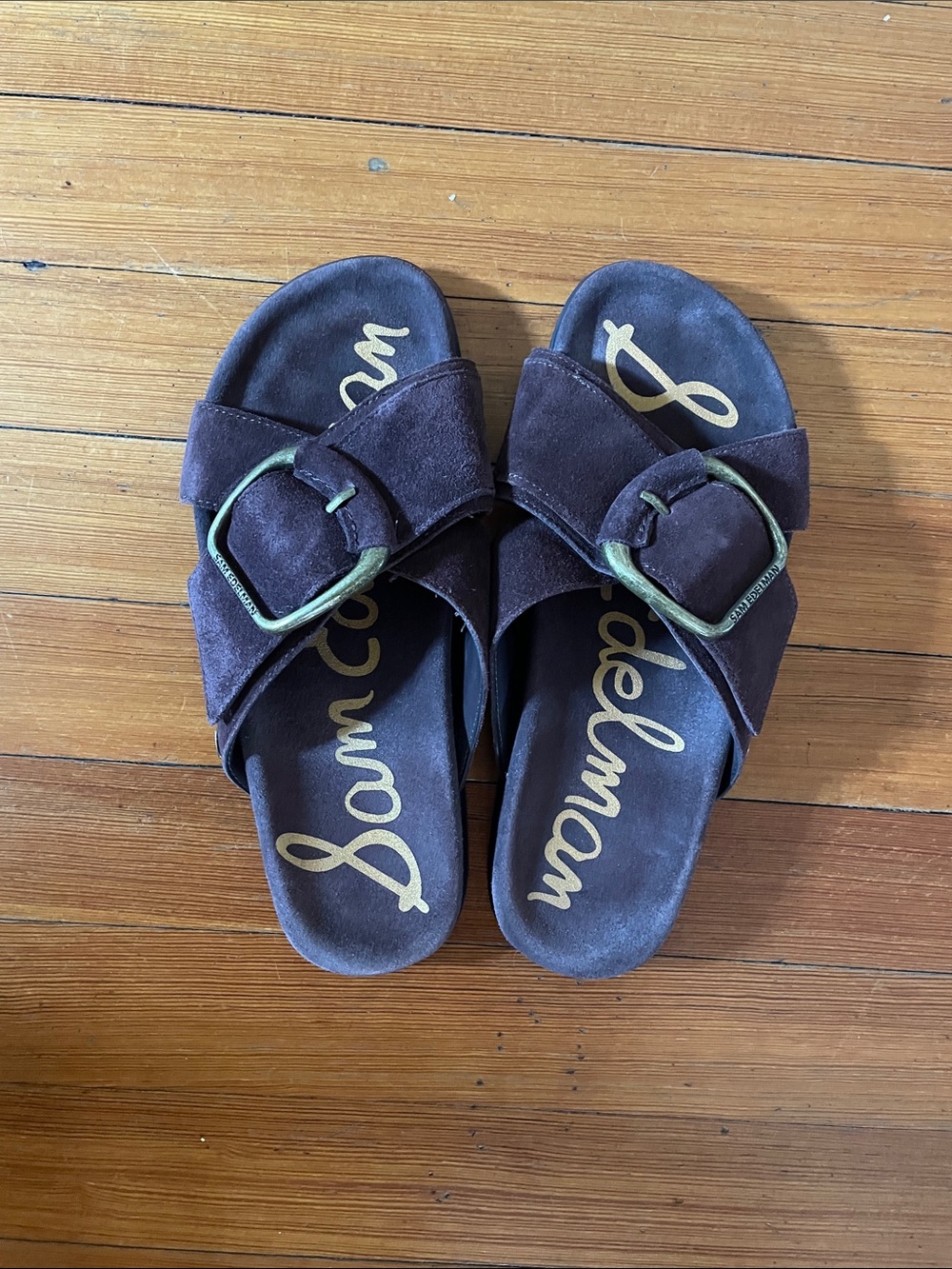 Sam Edelman Dark Brown Suede Buckle Slide Sandals